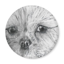 Scruffy magnets