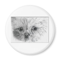 Scruffy magnets
