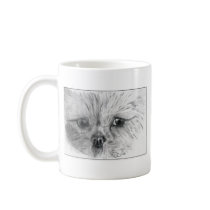 Scruffy mugs