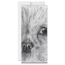 Scruffy rack cards