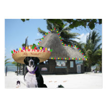 Scuba Dog "Diversity" Trade Card Business Card Template