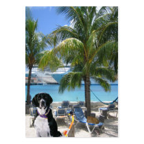 Scuba Dog "Imaginative" Trading Card Business Cards