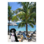 Scuba Dog "Imaginative" Trading Card business cards