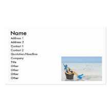 ScubaTubVacation, Name, Address 1, Address 2, C... Business Card