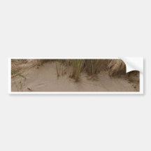 Sculpted Sand & Sea Grass Bumper Stickers