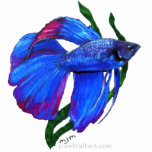 Sculpture - Betta Fish Photo Cut Out