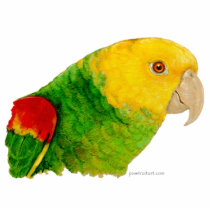 Sculpture - Double Yellow Headed Amazon Cut Out