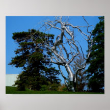 Sculpture in Kansas City Print