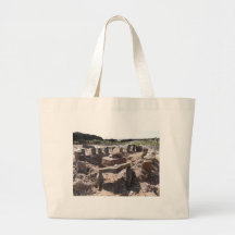 Sculpture on the Beach Canvas Bags