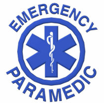 Sculpture or Ornament-Medical Paramedic photo sculptures