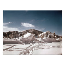 Sculpture sur neige en ours blanc photographes