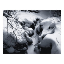 Sculptured Rocks Natural Area, Groton, NH Art Photo
