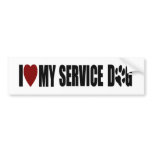 SD bumper sticker