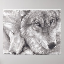 Se blottir des loups posters