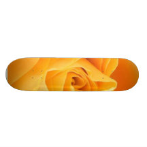Se sont levés 4 planches à roulettes customisées