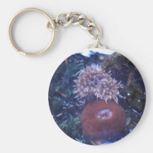 sea anemone key chains