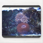 sea anemone mousepads