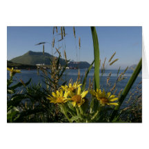 Sea Beach Senecio, Unalaska Island Greeting Card