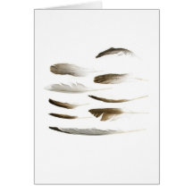 Sea Bird Feather Note Card