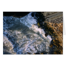 Sea Coast Card
