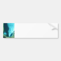 Sea Cow Bumper Sticker