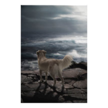 Sea Dog Photo Art