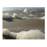 Sea Foam Postcards