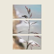 Sea Grass canvas prints