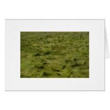 Sea Grass pn the Ogunquit River, Maine Card