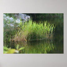 Sea grass print