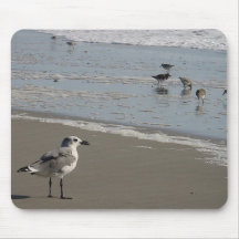 sea gull by the shore mouse mats