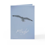 Sea Gull Flight Cards