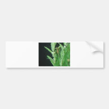 sea horse with plants bumper stickers