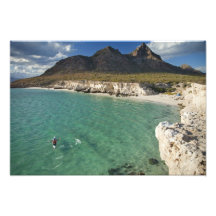 Sea kayaker on the Gulf of California at Isla Photo