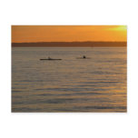 Sea Kayaks
