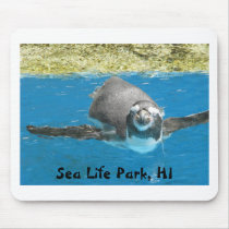 Sea Life Park Penguin mousepads