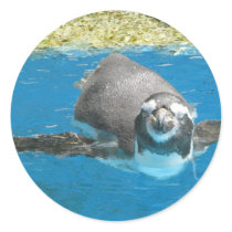 Sea Life Park Penguin stickers