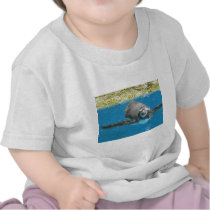 Sea Life Park Penguin t-shirts