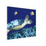 Sea Life Sea Turtle Canvas Print