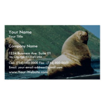 Sea Lion Bull Business Card