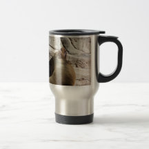 Sea Lion Coffee Mugs