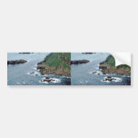 Sea Lion Haulout at Sugarloaf Island Bumper Sticker