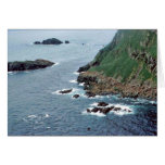 Sea Lion Haulout at Sugarloaf Island Greeting Cards