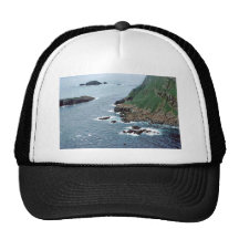 Sea Lion Haulout at Sugarloaf Island Hat