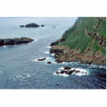 Sea Lion Haulout at Sugarloaf Island Photo Cut Outs
