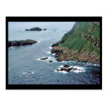 Sea Lion Haulout at Sugarloaf Island Post Card