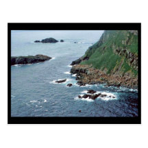 Sea Lion Haulout at Sugarloaf Island Post Card