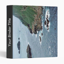 Sea Lion Haulout at Sugarloaf Island Vinyl Binders