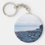 Sea Lion Key Chain