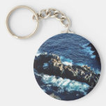 Sea Lion Keychain